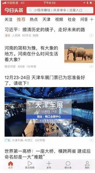 今日頭條廣告賦能成都萍聚信息技術，精準營銷助推技術推廣服務發(fā)展