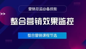 營銷總監必備 常見推廣渠道的深度優化策略與技術賦能